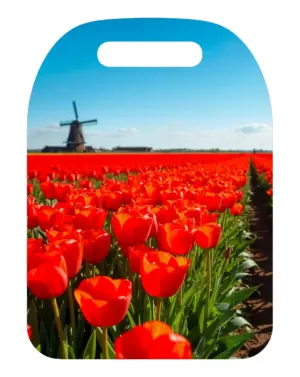 netherlands souvenir cutting board tulips or windmills