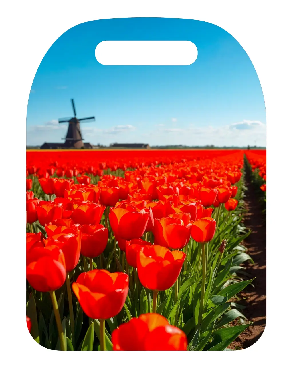 Netherlands Souvenir Cutting Board - Tulips or Windmills