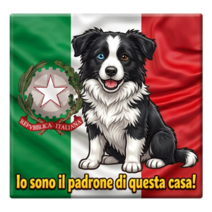 Border Collie Italy Funny Dog Magnet