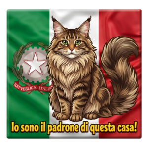 Maine Coon Italy Funny Cat Magnet