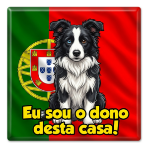 Border Collie Portugal Funny Dog Magnet
